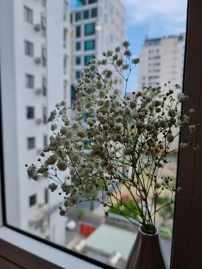 Delicate Serviced Apartment And Hotel Дананг