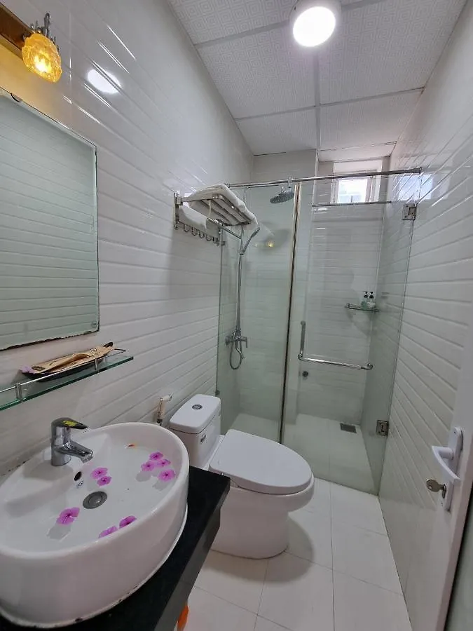 Delicate Serviced Apartment And Hotel Дананг 3*,